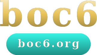 boc6 logo